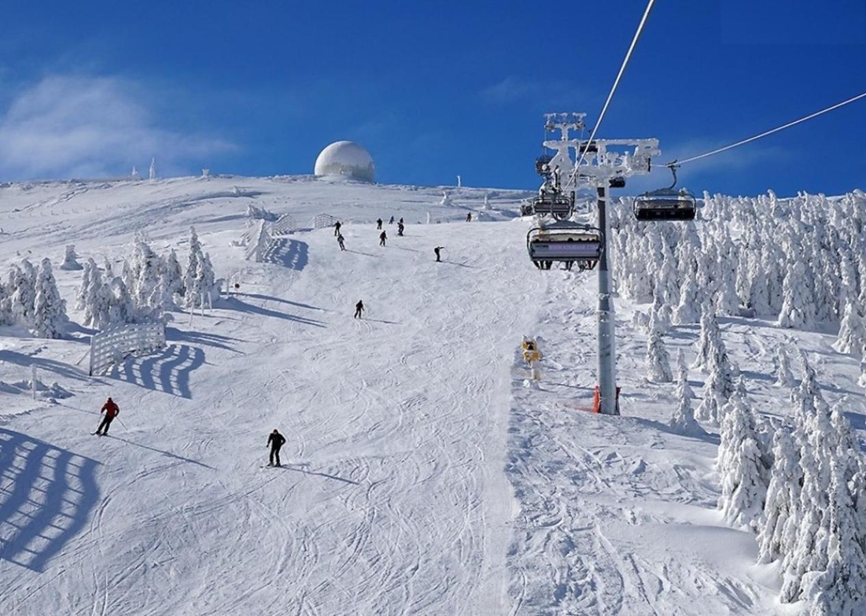 Hotel Olga Dedijer Kopaonik Bagian luar foto