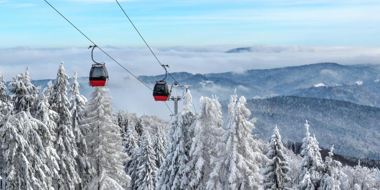 Hotel Olga Dedijer Kopaonik Bagian luar foto